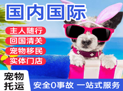 柳州空运公司国际宠物托运 【国